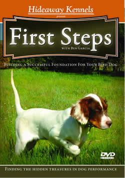 First Steps DVD